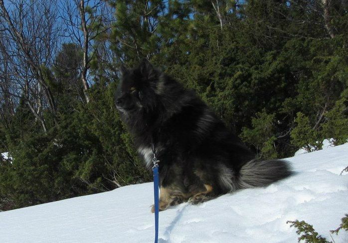 Mars 2012